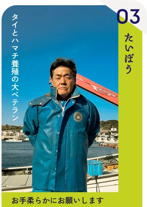 タイとハマチ養殖の大ベテラン たいぼう 「お手柔らかにお願いします」